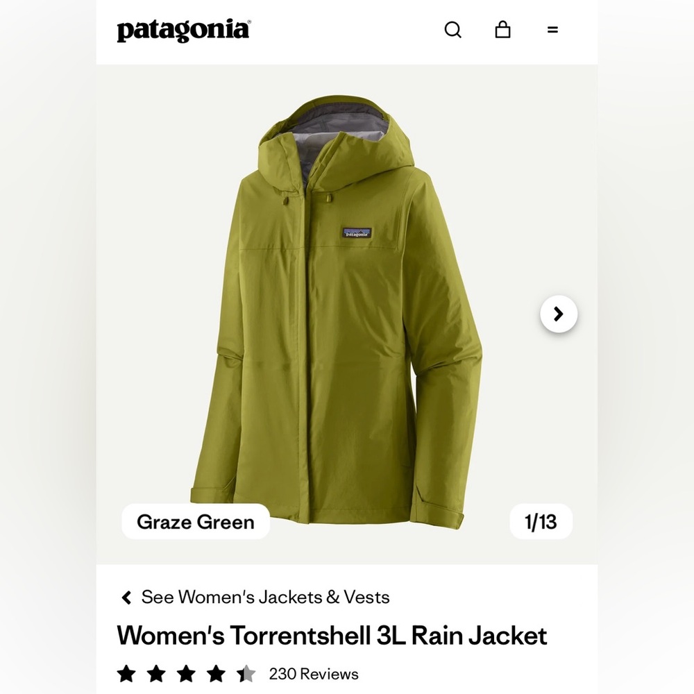 NWT Patagonia Women's Torrentshell 3L Rain Jacket